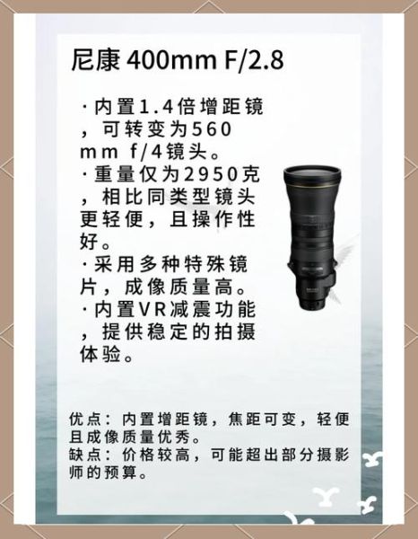 尼康打鸟镜头推荐_打鸟用什么尼康镜头好-第1张图片-星辰妙记