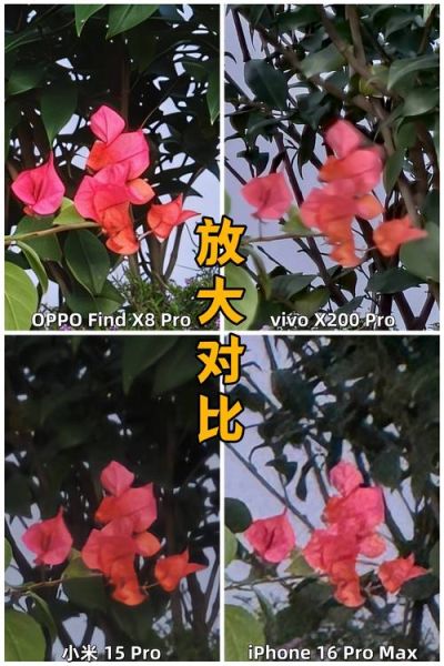 双镜头手机拍照效果如何_双镜头和单镜头区别在哪-第1张图片-星辰妙记 双镜头手机拍照效果如何_双镜头和单镜头区别在哪-第1张图片-星辰妙记