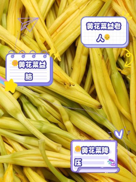 孕妇可以吃黄花菜吗_孕妇吃黄花菜对胎儿好吗-第3张图片-星辰妙记
