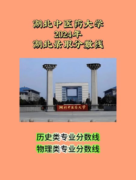 湖北中医药大学招生简章_湖北中医药大学录取分数线-第3张图片-星辰妙记