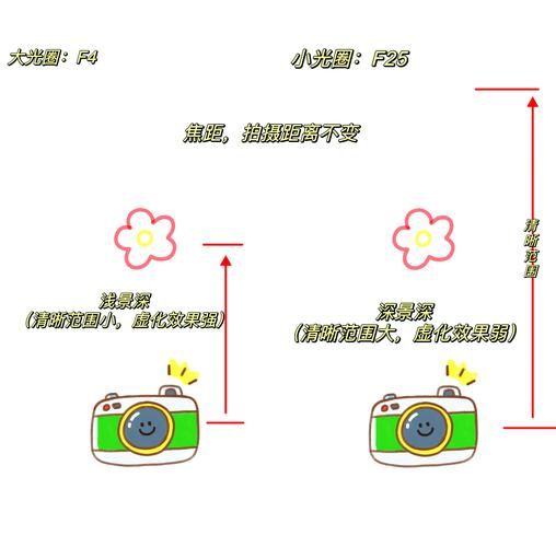 镜头浅焦怎么拍_浅景深拍摄技巧-第1张图片-星辰妙记 镜头浅焦怎么拍_浅景深拍摄技巧-第1张图片-星辰妙记