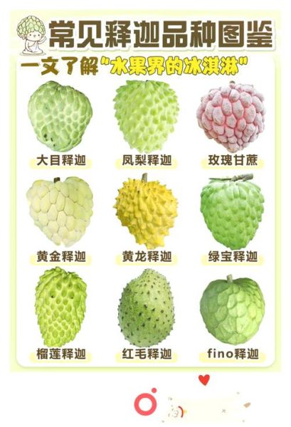 孕妇可以吃释迦果吗_释迦果对孕妇的好处与禁忌-第3张图片-星辰妙记