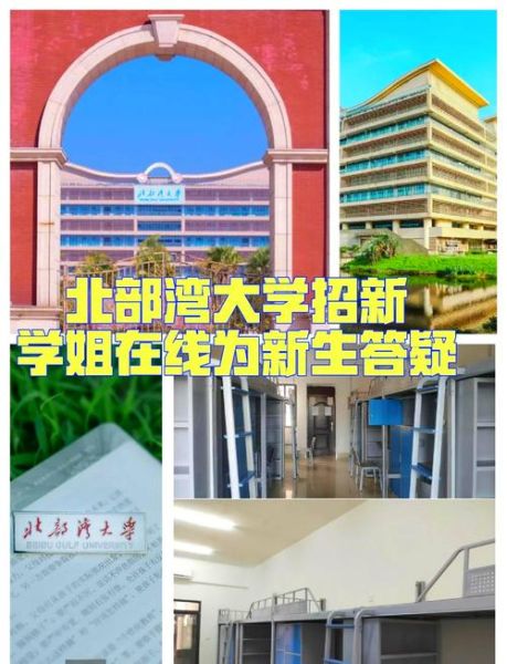 北部湾大学怎么样_北部湾大学有哪些专业-第1张图片-星辰妙记