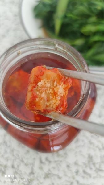 孕妇能吃腐乳吗_腐乳对孕妇的影响-第1张图片-星辰妙记