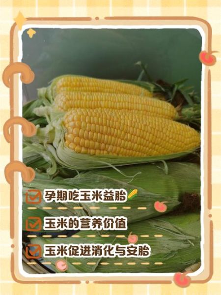 孕妇可以吃玉米吗_玉米对胎儿的好处-第1张图片-星辰妙记