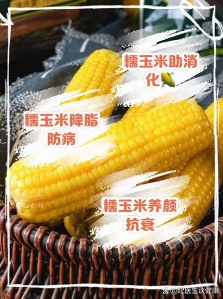 孕妇可以吃玉米吗_玉米对胎儿的好处-第3张图片-星辰妙记