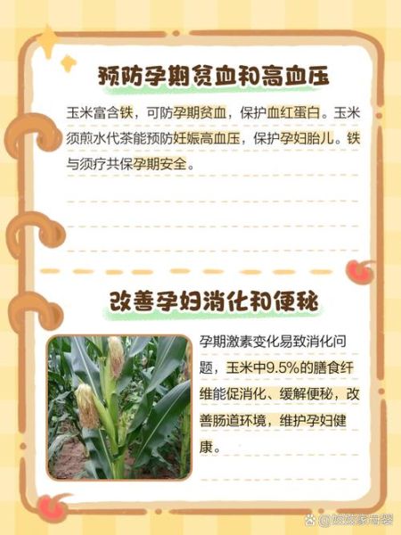 孕妇可以吃玉米吗_玉米对胎儿的好处-第2张图片-星辰妙记