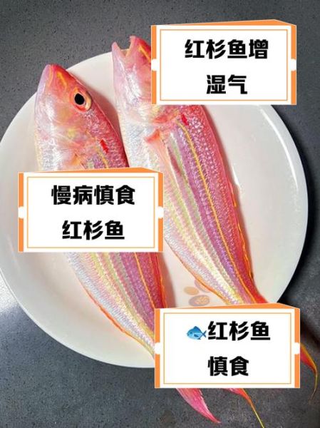孕妇能吃红衫鱼吗_红衫鱼孕期食用禁忌-第2张图片-星辰妙记
