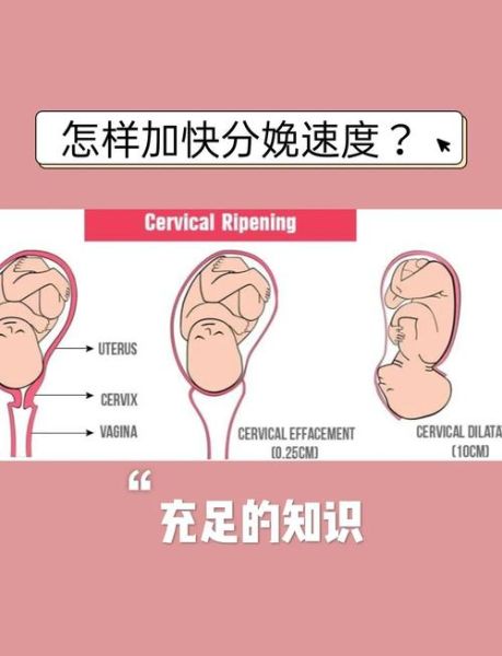 世界上最小的孕妇_她如何顺利分娩-第1张图片-星辰妙记 世界上最小的孕妇_她如何顺利分娩-第1张图片-星辰妙记