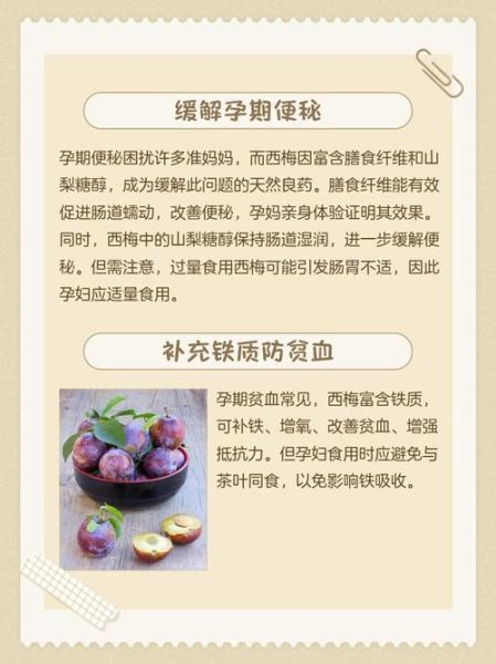 孕妇可以吃西梅吗_西梅对胎儿的好处-第2张图片-星辰妙记 孕妇可以吃西梅吗_西梅对胎儿的好处-第2张图片-星辰妙记