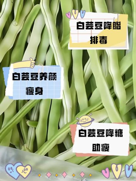 孕妇可以吃白芸豆吗_白芸豆对孕妇安全吗-第1张图片-星辰妙记