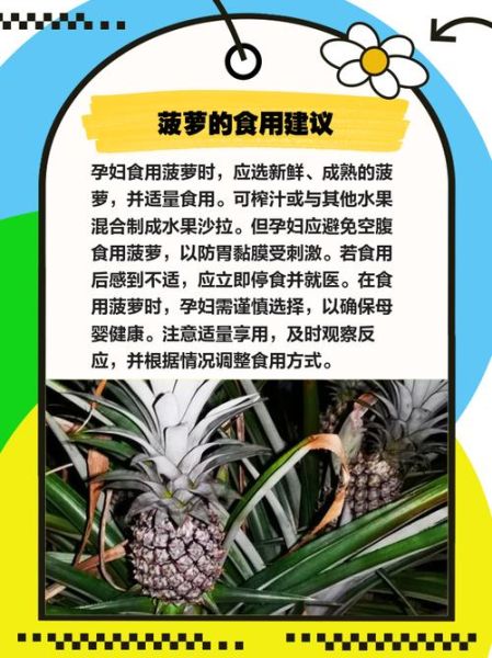 孕妇可以吃菠萝吗_孕妇吃菠萝对胎儿有影响吗-第2张图片-星辰妙记