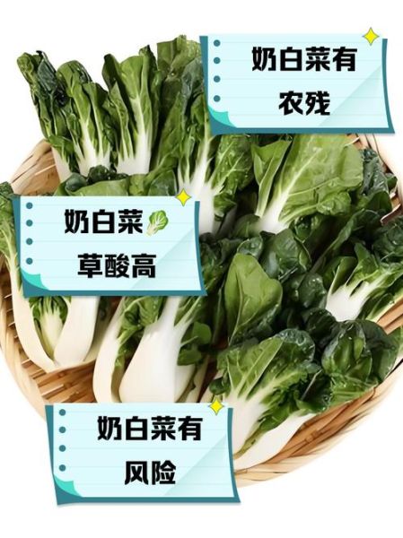 奶白菜孕妇可以吃吗_奶白菜孕期禁忌-第1张图片-星辰妙记