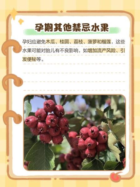 孕妇可以吃山楂吗_孕早期吃山楂安全吗-第3张图片-星辰妙记