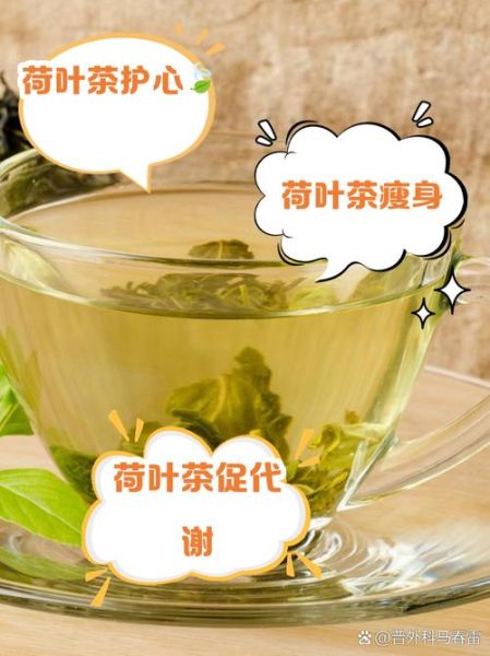 孕妇可以喝荷叶茶吗_孕期喝荷叶茶安全吗-第2张图片-星辰妙记