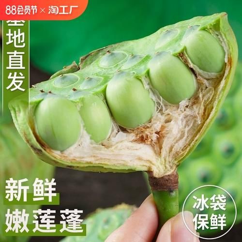 孕妇可以吃莲蓬吗_莲蓬对胎儿有影响吗-第1张图片-星辰妙记