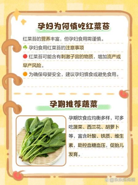孕妇吃什么蔬菜好_孕期最安全的蔬菜有哪些-第3张图片-星辰妙记