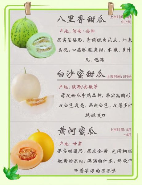 孕妇可以吃甜瓜吗_孕期吃甜瓜注意事项-第1张图片-星辰妙记