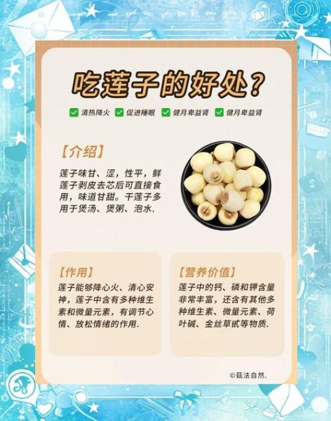 孕妇可以吃莲子吗_莲子对孕妇的好处与禁忌-第1张图片-星辰妙记