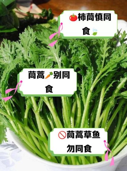 孕妇可以吃茼蒿吗_孕期吃茼蒿的注意事项-第1张图片-星辰妙记