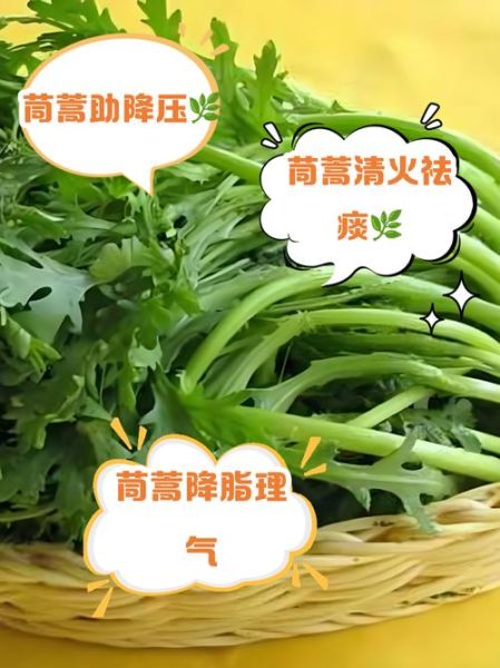 孕妇可以吃茼蒿吗_孕期吃茼蒿的注意事项-第3张图片-星辰妙记