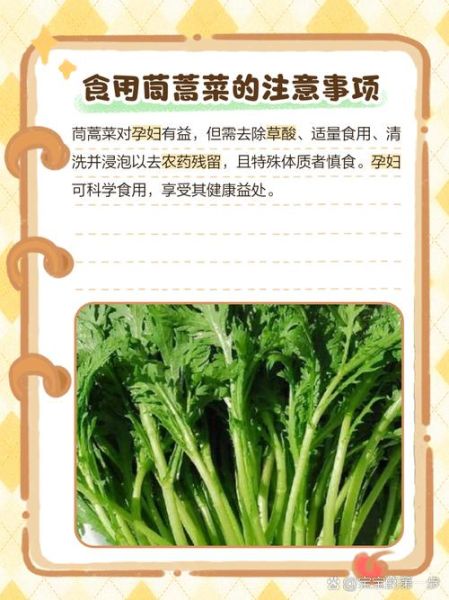 孕妇可以吃茼蒿吗_孕期吃茼蒿的注意事项-第2张图片-星辰妙记