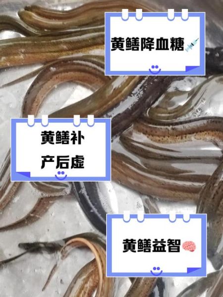 孕妇梦到很多黄鳝_是什么意思-第2张图片-星辰妙记