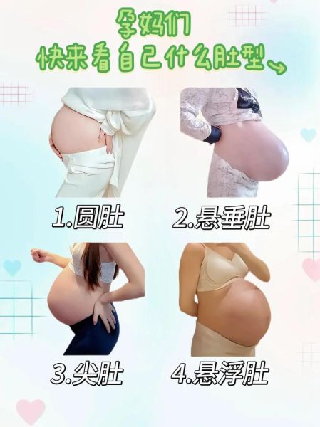孕妇肚子大小正常吗_孕妇肚子形状怎么看-第1张图片-星辰妙记