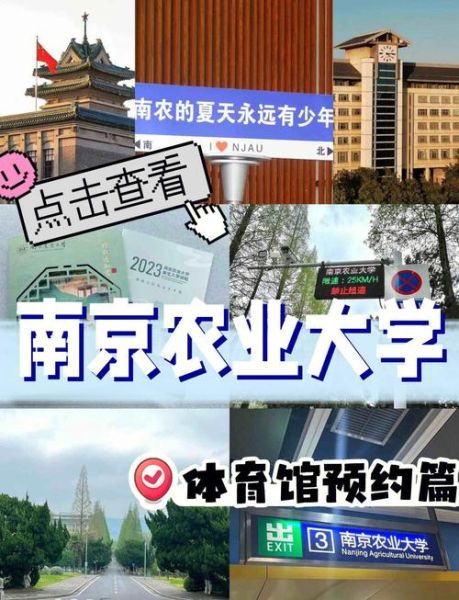 南京农业大学地址在哪里_南京农业大学怎么去-第2张图片-星辰妙记 南京农业大学地址在哪里_南京农业大学怎么去-第2张图片-星辰妙记