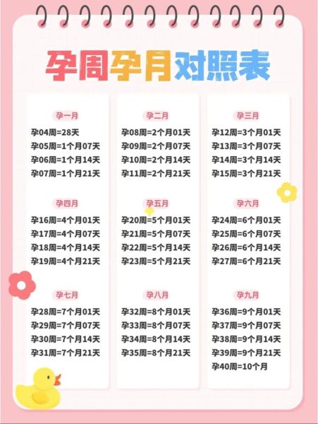 孕妇一周是多少天_孕期周数怎么算-第1张图片-星辰妙记 孕妇一周是多少天_孕期周数怎么算-第1张图片-星辰妙记