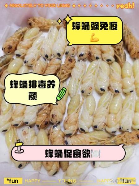 孕妇能吃蜂蛹吗_蜂蛹营养价值与禁忌-第1张图片-星辰妙记 孕妇能吃蜂蛹吗_蜂蛹营养价值与禁忌-第1张图片-星辰妙记