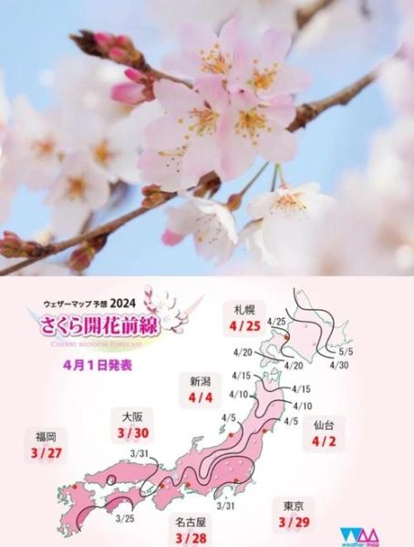 日本旅游最佳季节_日本樱花什么时候开-第1张图片-星辰妙记 日本旅游最佳季节_日本樱花什么时候开-第1张图片-星辰妙记