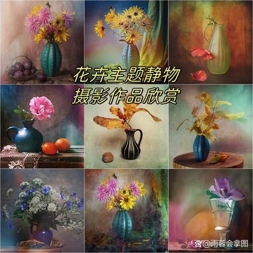 静物摄影镜头怎么选_静物摄影用什么镜头最好-第2张图片-星辰妙记