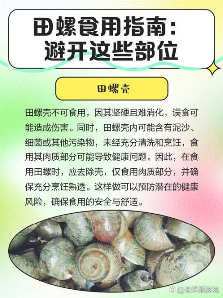 孕妇可以吃田螺吗早期_怀孕初期吃田螺注意事项-第1张图片-星辰妙记 孕妇可以吃田螺吗早期_怀孕初期吃田螺注意事项-第1张图片-星辰妙记