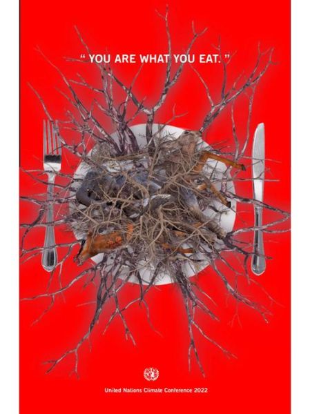 what_to_eat_when_pregnant_safe_foods_for_pregnant_women-第1张图片-星辰妙记 what_to_eat_when_pregnant_safe_foods_for_pregnant_women-第1张图片-星辰妙记