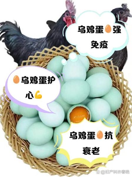 乌鸡蛋孕妇可以吃吗_乌鸡蛋对胎儿好吗-第1张图片-星辰妙记 乌鸡蛋孕妇可以吃吗_乌鸡蛋对胎儿好吗-第1张图片-星辰妙记