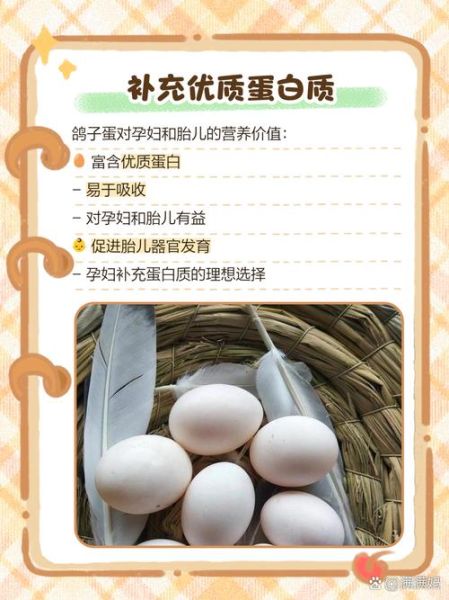 孕妇吃鸽子蛋有什么好处_对胎儿好吗-第2张图片-星辰妙记 孕妇吃鸽子蛋有什么好处_对胎儿好吗-第2张图片-星辰妙记