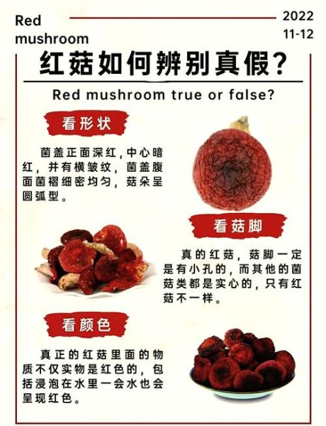 红菇孕妇可以吃吗_红菇对胎儿有影响吗-第2张图片-星辰妙记 红菇孕妇可以吃吗_红菇对胎儿有影响吗-第2张图片-星辰妙记
