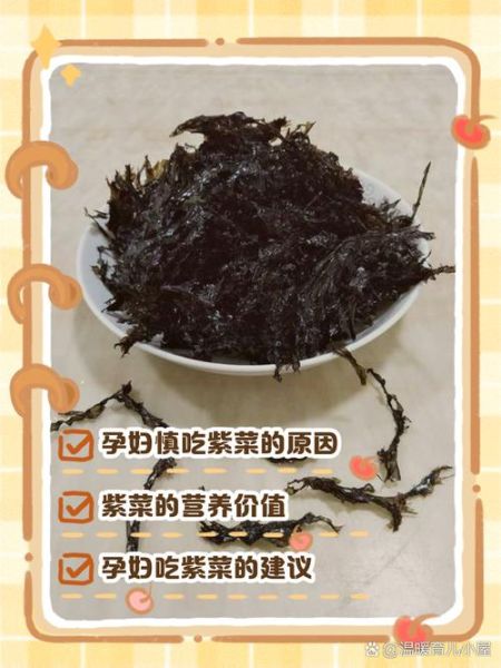 紫菜孕妇可以吃吗_孕妇吃紫菜注意事项-第1张图片-星辰妙记 紫菜孕妇可以吃吗_孕妇吃紫菜注意事项-第1张图片-星辰妙记