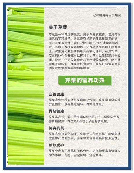 孕妇能吃芹菜吗_怀孕吃芹菜的好处与禁忌-第1张图片-星辰妙记 孕妇能吃芹菜吗_怀孕吃芹菜的好处与禁忌-第1张图片-星辰妙记
