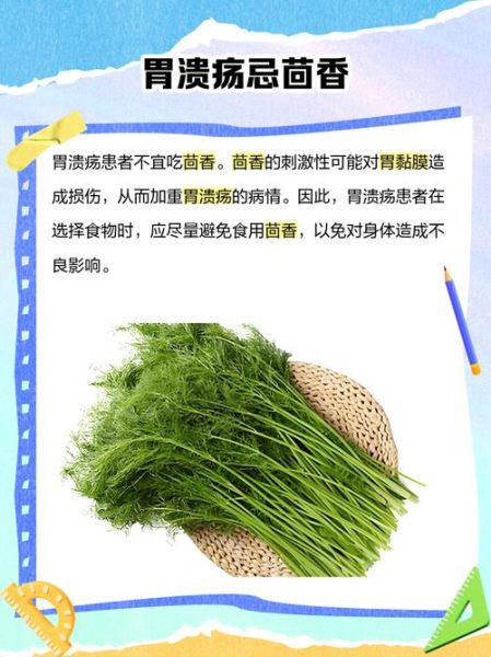 孕妇能吃茴香饺子吗_孕期吃茴香饺子的注意事项-第3张图片-星辰妙记