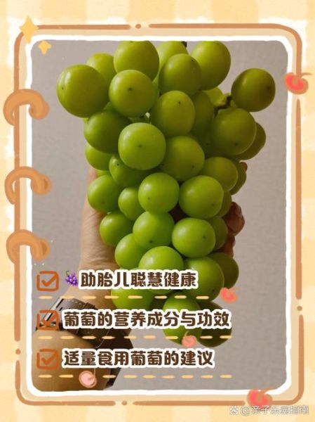 孕妇吃葡萄对胎儿好吗_怀孕吃葡萄的注意事项-第1张图片-星辰妙记
