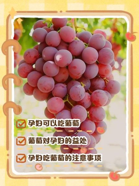 孕妇吃葡萄对胎儿好吗_怀孕吃葡萄的注意事项-第2张图片-星辰妙记