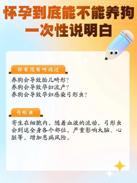 孕妇可以养狗吗_怀孕养狗注意事项-第1张图片-星辰妙记