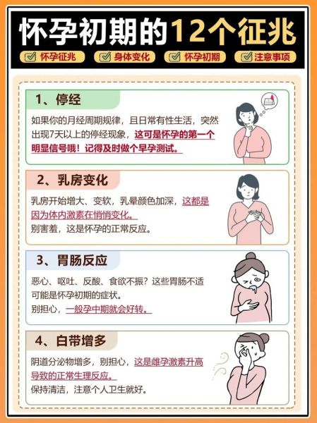 变身孕妇_怀孕初期症状有哪些-第2张图片-星辰妙记