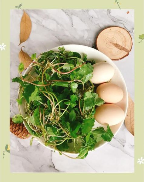 孕妇能吃灯盏菜吗_灯盏菜对孕妇安全吗-第2张图片-星辰妙记