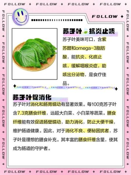 孕妇可以吃苏子叶吗_苏子叶对孕妇的好处与禁忌-第1张图片-星辰妙记 孕妇可以吃苏子叶吗_苏子叶对孕妇的好处与禁忌-第1张图片-星辰妙记