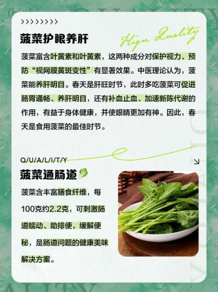 孕妇可以吃菠菜吗_菠菜对孕妇的好处与禁忌-第1张图片-星辰妙记