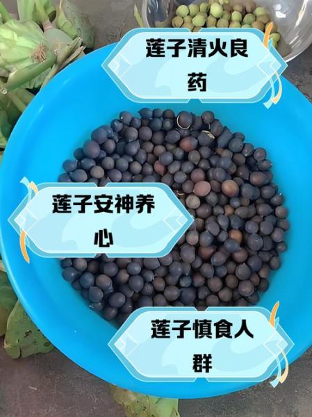 孕妇吃莲子对胎儿好吗_莲子一天吃多少粒合适-第2张图片-星辰妙记