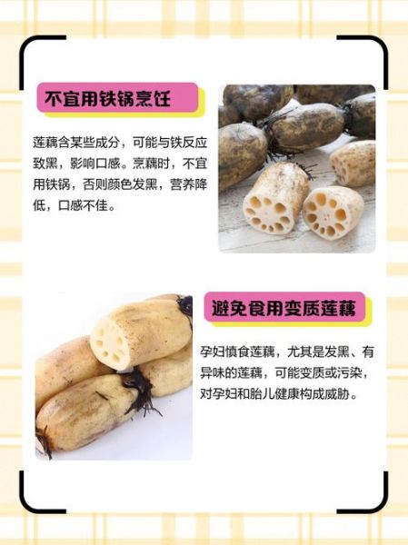 孕妇能吃莲藕吗_莲藕对胎儿的好处-第2张图片-星辰妙记